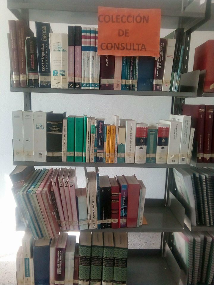 imagen3